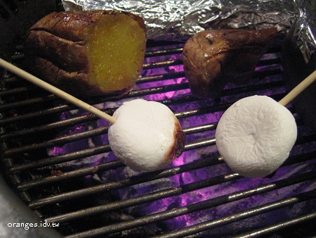 2008041309.jpg