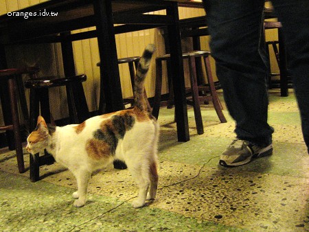 2008041509.jpg