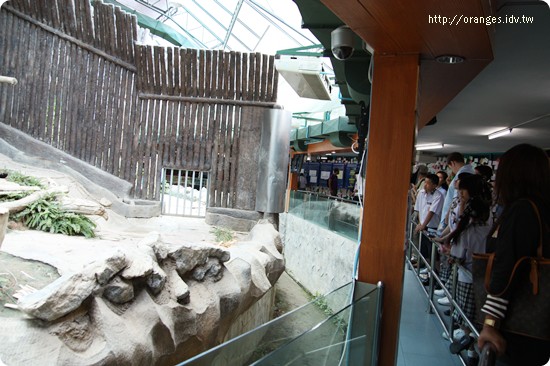 清邁動物園