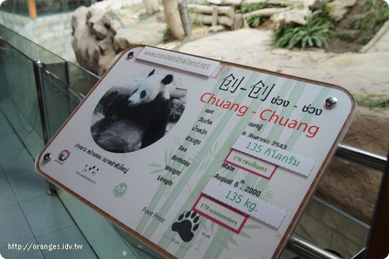 清邁動物園