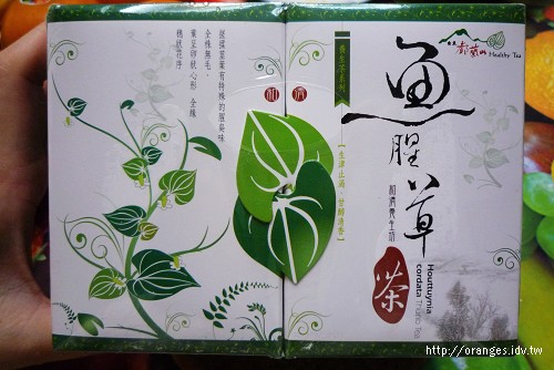 魚腥草茶