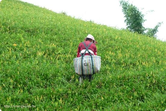 六十石山
