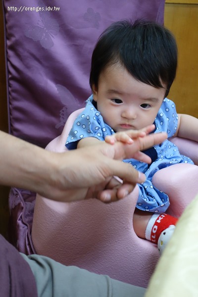 小小橘