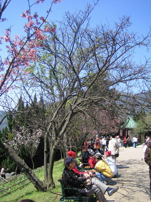 陽明山